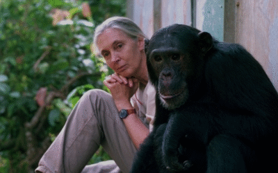 Honoring Dr. Jane Goodall